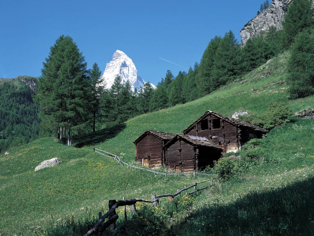 Apartment Beaulieu-2 By Interhome Zermatt Zewnętrze zdjęcie